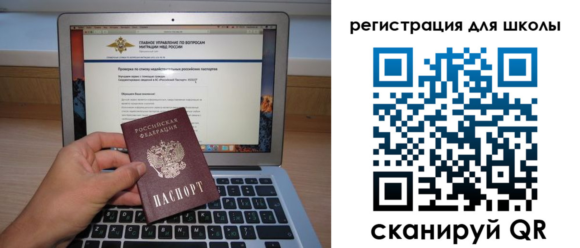 прописка поиск в Павловске